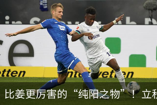 比姜更厉害的“纯阳之物”！立秋后一周两三次，阳气养得足足的